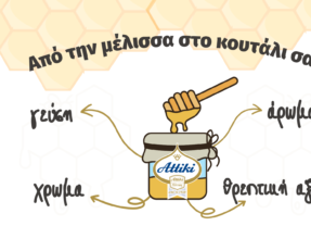 Από την μέλισσα στο κουτάλι σας (Παραγωγική διαδικασία)